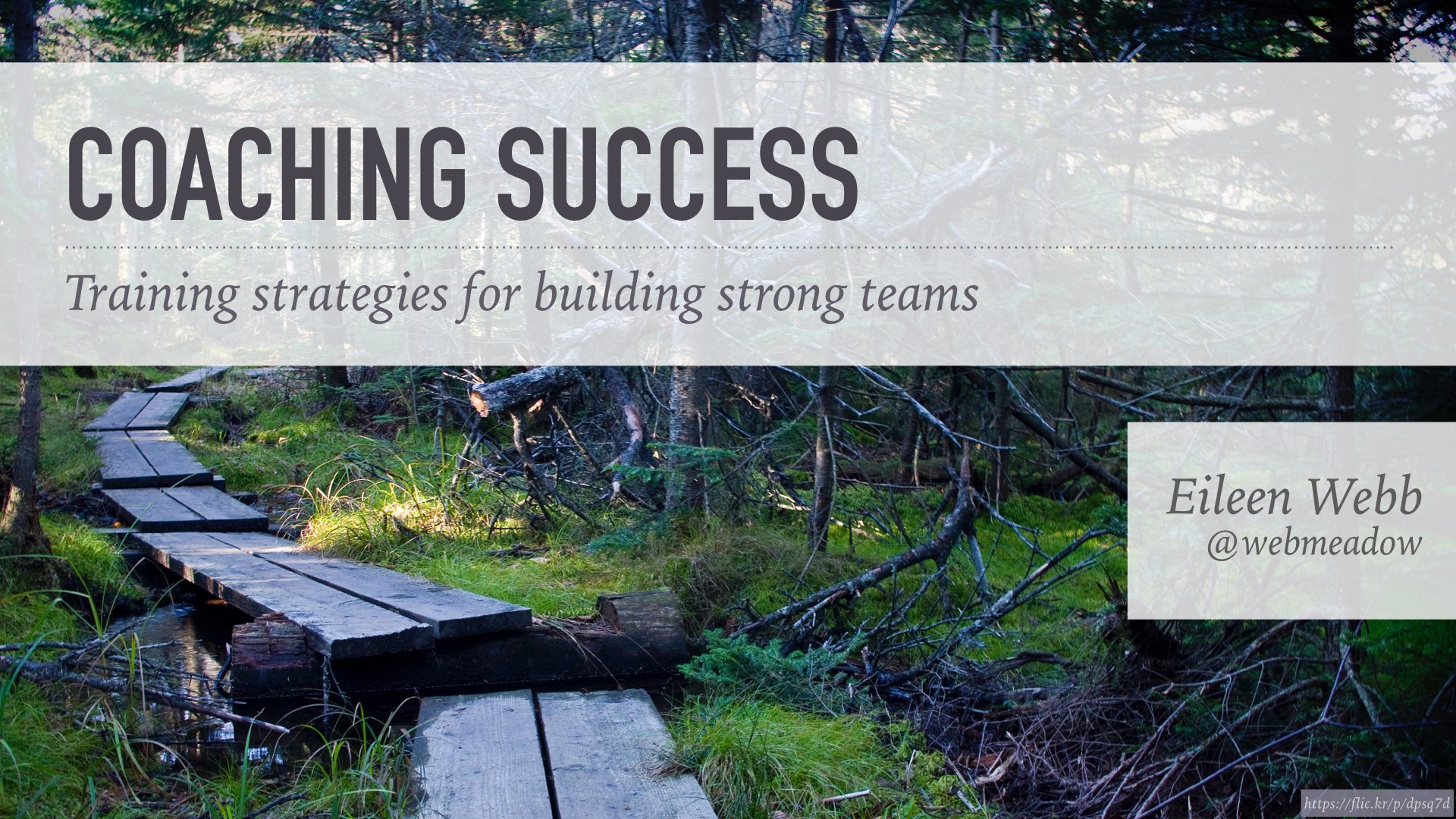 Coaching Success: Training Strategies for Building Strong Teams